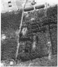 Luftaufnahme aus dem Jahr 1945 zeigt das Waldgrundstück mit dem Lager